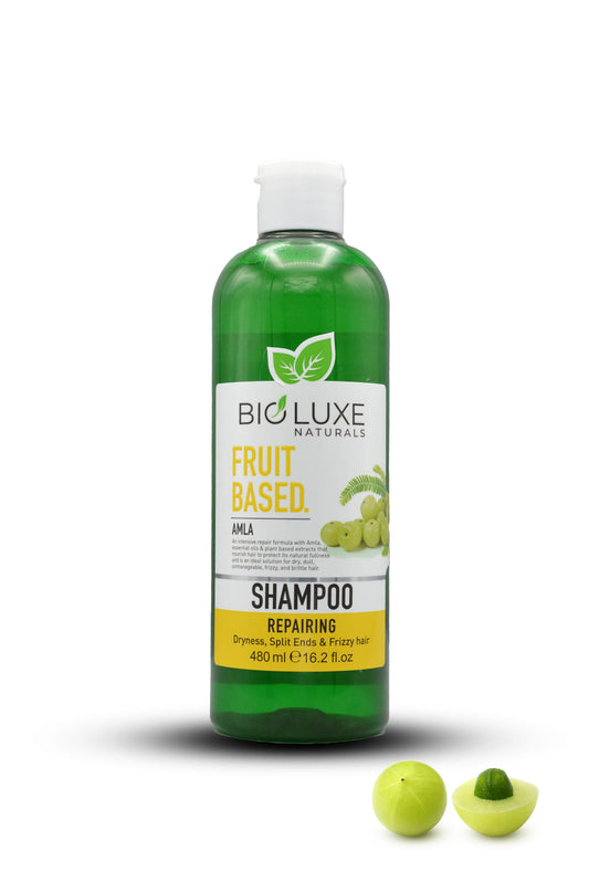 Fruit Based Amla Shampoo by Bio Luxe (480 ml)